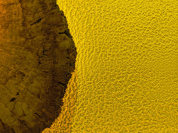 a close up of a tree trunk with yellow paint